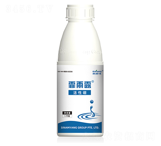 ������-����¶-������