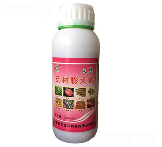 ˎ�������-���o����