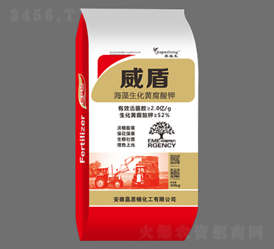 ���������S�����-����-��˼�D