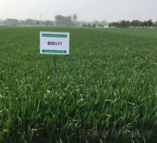 ����157-С���N��-�S��(l��)�N�I(y��)