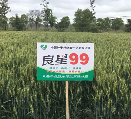 ����99-С���N��-�S���N�I(y��)