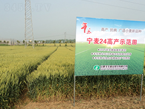 ����24-С���N��-�S��(l��)�N�I(y��)