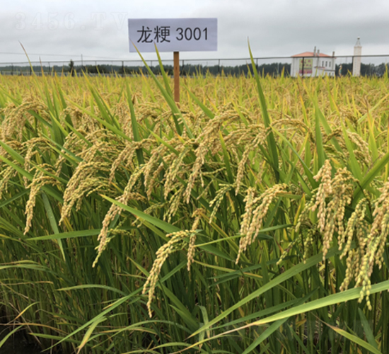 ����3001-ˮ���N��-�S���N�I(y��)