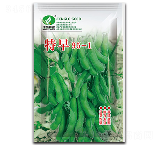 ����95-1-�S���N��-�S��(l��)�N�I(y��)