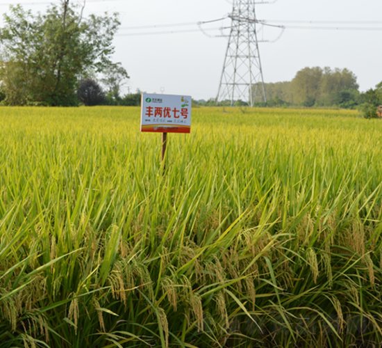 �S�Ƀ�(y��u)��̖-ˮ���N��-�S���N�I(y��)