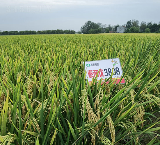 ̩�Ƀ�(y��u)3808-ˮ���N��-�S���N�I(y��)