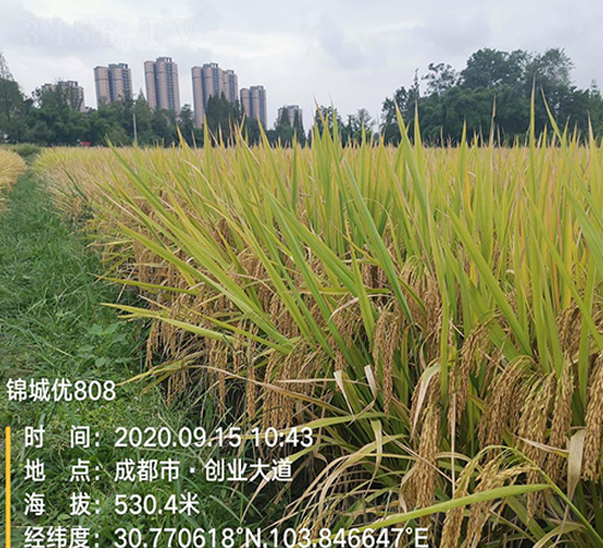 �\�ǃ�(y��u)808-ˮ���N��-�S���N�I(y��)