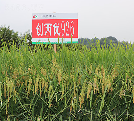 ��(chu��ng)�Ƀ�(y��u)926-ˮ���N��-�S���N�I(y��)