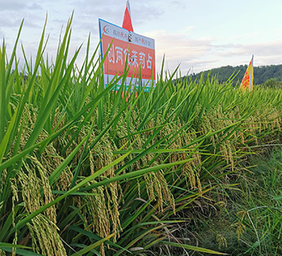 ��(chu��ng)�Ƀ�(y��u)����ռ-ˮ���N��-�S���N�I(y��)