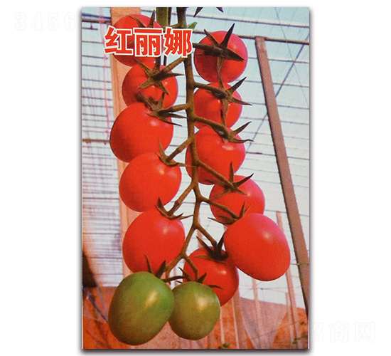 Ǭ�¼t����-���ѷN��-Ǭ�·N�I(y��)