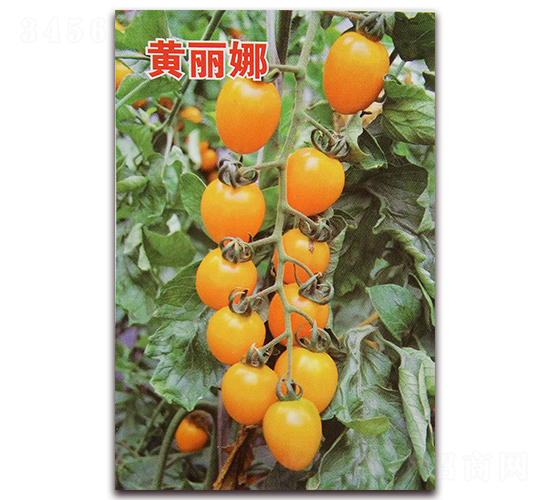 Ǭ���S����-���ѷN��-Ǭ�·N�I(y��)