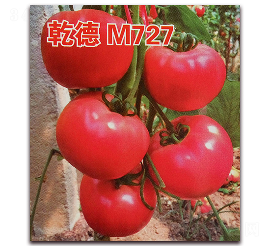 Ǭ��M727-���ѷN��-Ǭ�·N�I(y��)