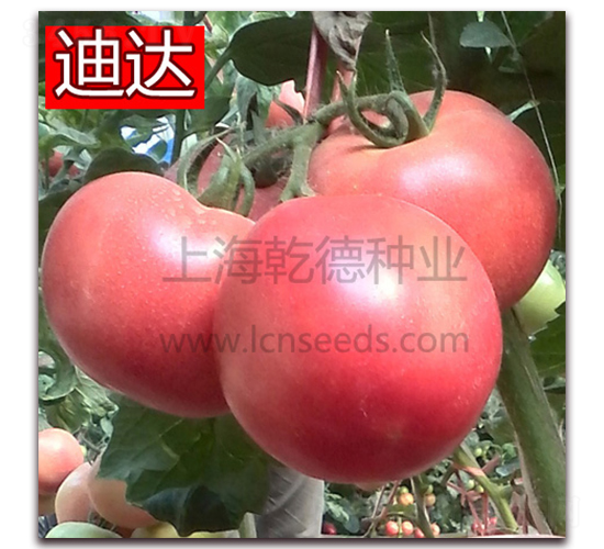 Ǭ�µ��_-�۹����ѷN��-Ǭ�·N�I(y��)