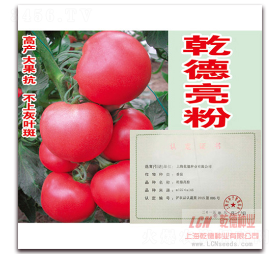 Ǭ������-�۹����ѷN��-Ǭ�·N�I(y��)