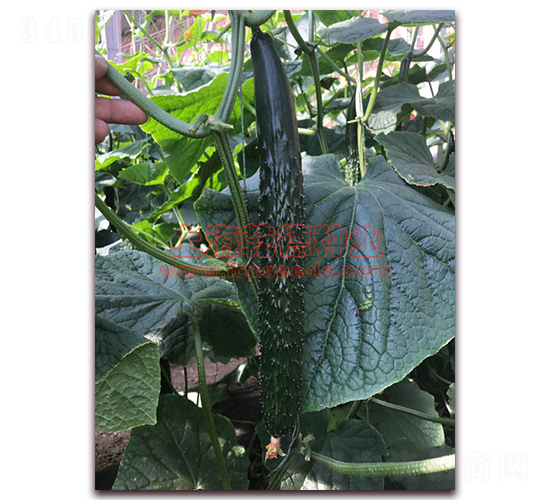 Ǭ��107-�S�ϷN��-Ǭ�·N�I(y��)