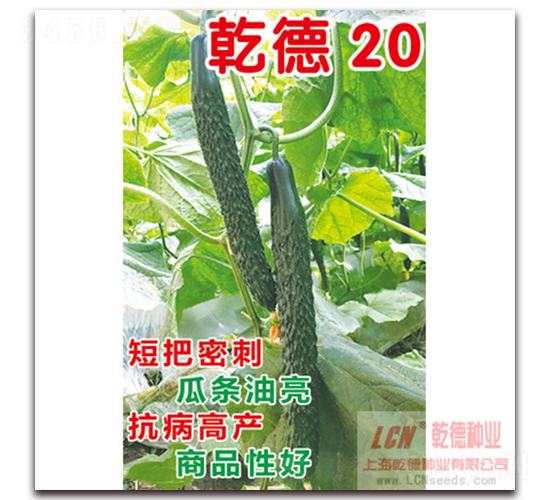 Ǭ�µ�ʥ-�S�ϷN��-Ǭ�·N�I(y��)