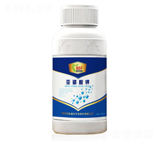 �������-���ص���