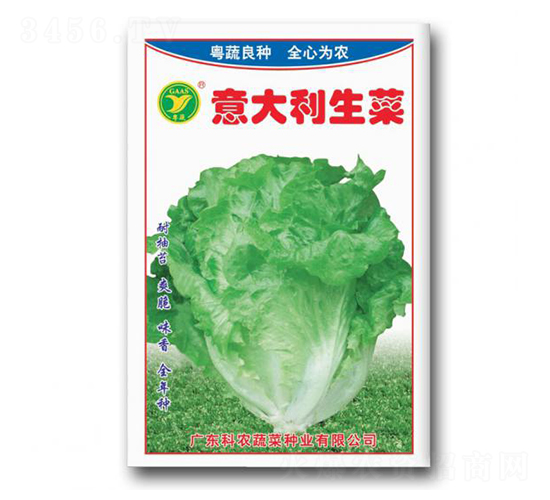 ���������-���˷N��-���r(n��ng)