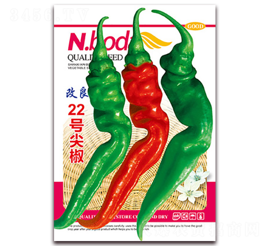 ����22̖�⽷-�����N��-�β���