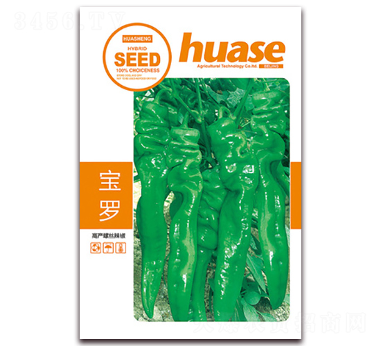 ���_-�����N��-�β���