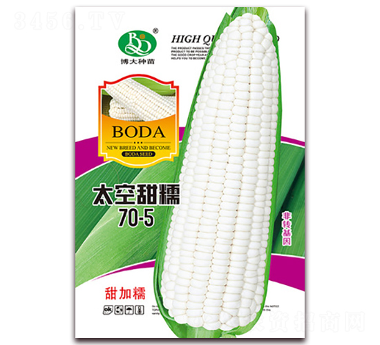 ̫����Ŵ70-5-��Ŵ���׷N��-�β���