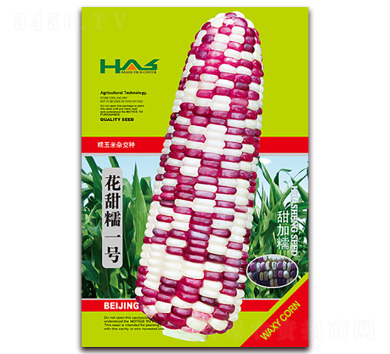 ����Ŵһ̖(h��o)-��Ŵ���׷N��-�β���