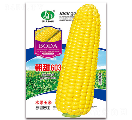 ����603-��Ŵ���׷N��-�β���