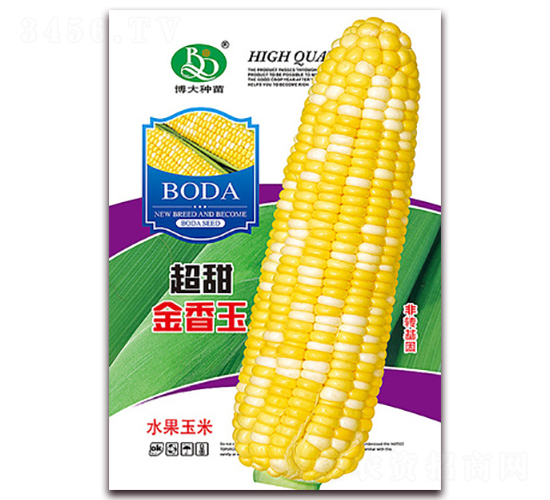 ���������-��Ŵ���׷N��-�β���