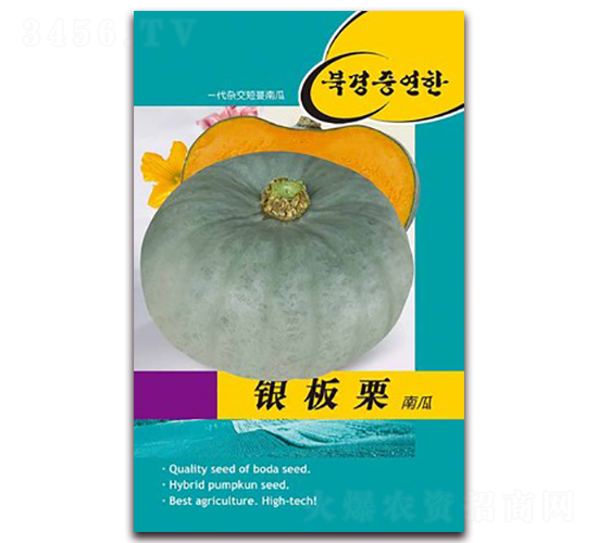 �y����-�ϹϷN��-�β���