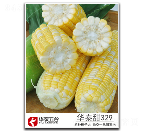 �A̩��329-�����׷N��-�A̩���