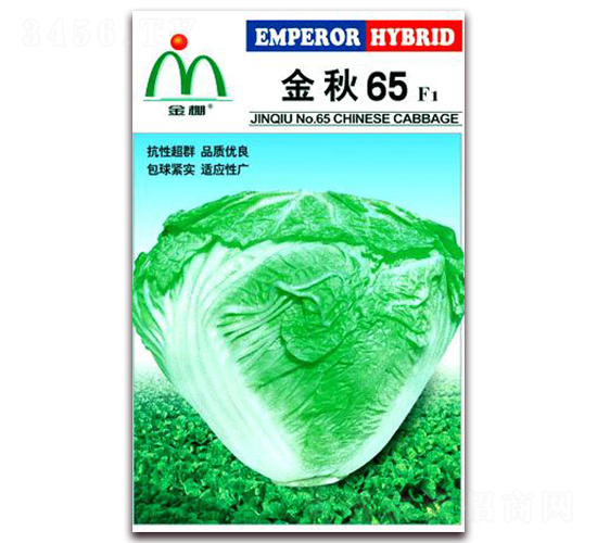 ����65-��ײ˷N��-���i