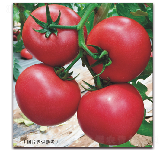 ����12-2-���ѷN��-���i