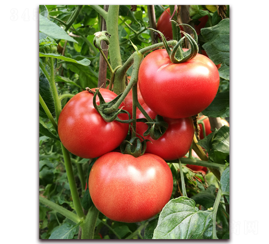 ����18-98-���ѷN��-���i