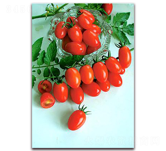 ������Ů-���ҷ��ѷN��-���i