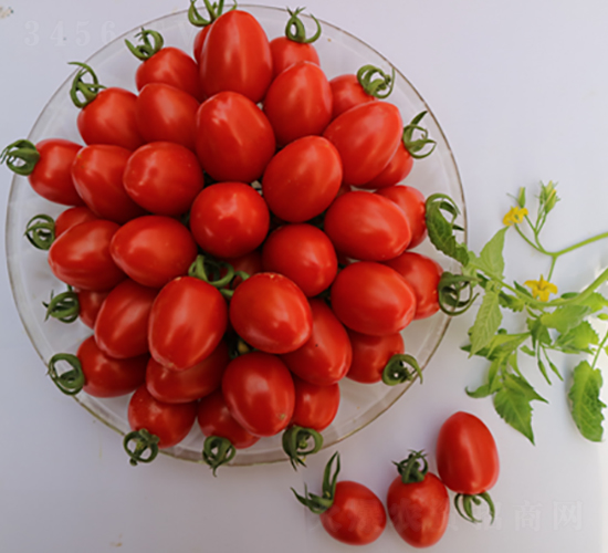 ����44̖(h��o)-���ҷ��ѷN��-���i