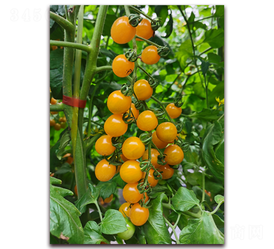 ����С�ʹ�58-���ҷ��ѷN��-���i