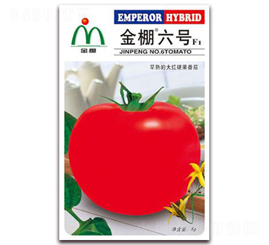 ������̖-��t���ѷN��-���i