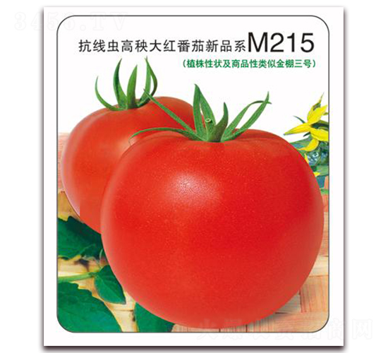 ����M215-��t���ѷN��-���i