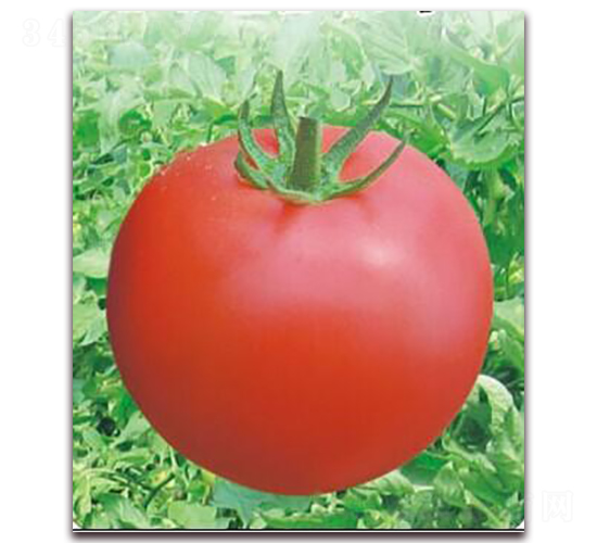 ����10̖-���ѷN��-���i