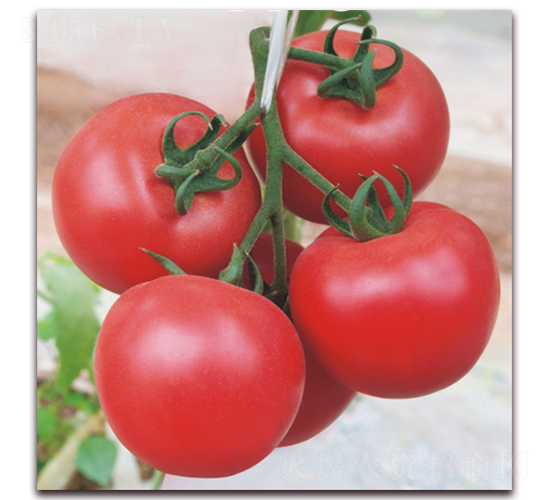 ����148-���ѷN��-���i