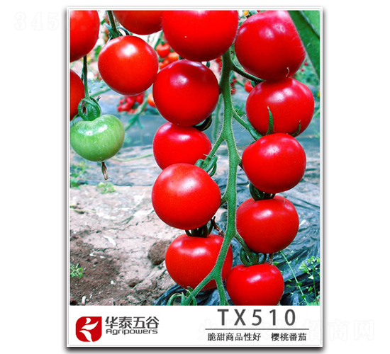 ���ҷ���TM510-���ѷN��-�A̩���