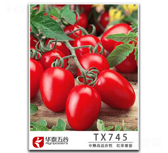 TM745-���ѷN��-�A̩���