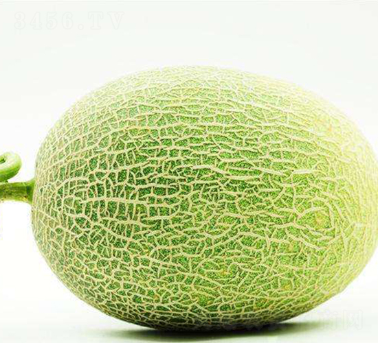 ����25-���ܹϷN��-����N�I(y��)