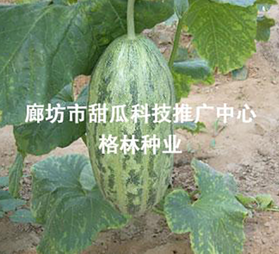 ��(m��ng)¶-��ϷN��-����N�I(y��)