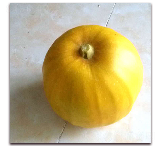 ʮ����-��ϷN��-����N�I(y��)