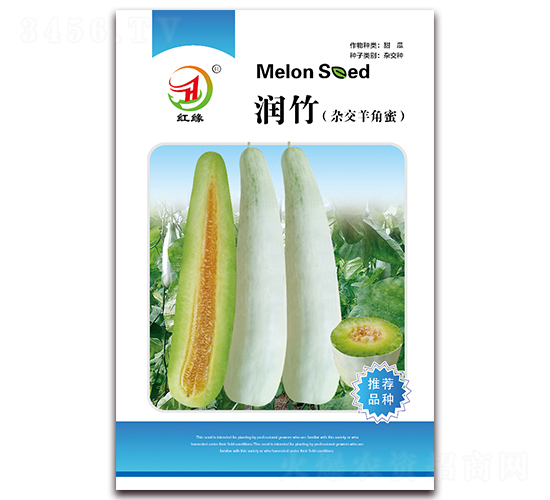 ����-��ϷN��-����N�I(y��)