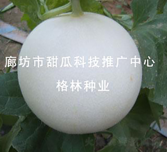 �yϼ-��ϷN��-����N�I(y��)