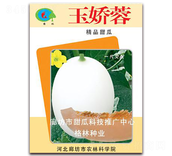 �����-��ϷN��-����N�I(y��)