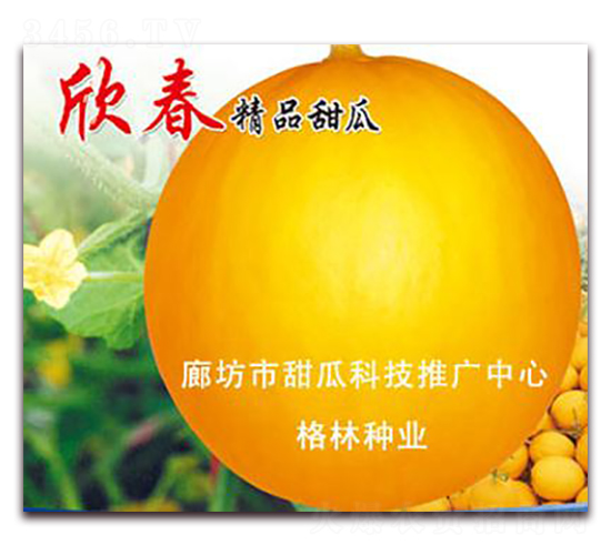 ����-��ϷN��-����N�I(y��)