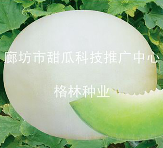 ��Z-��ϷN��-����N�I(y��)